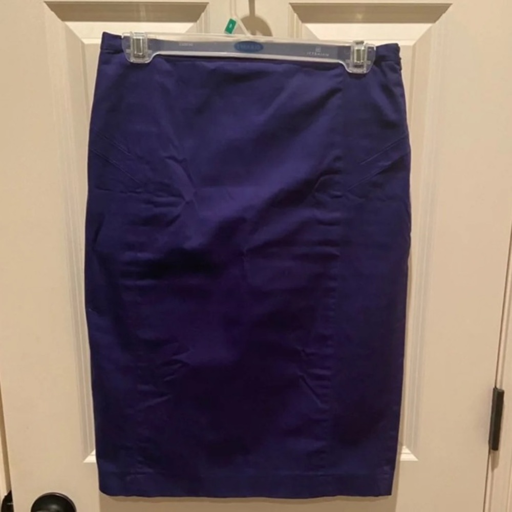 Express Pencil Skirt